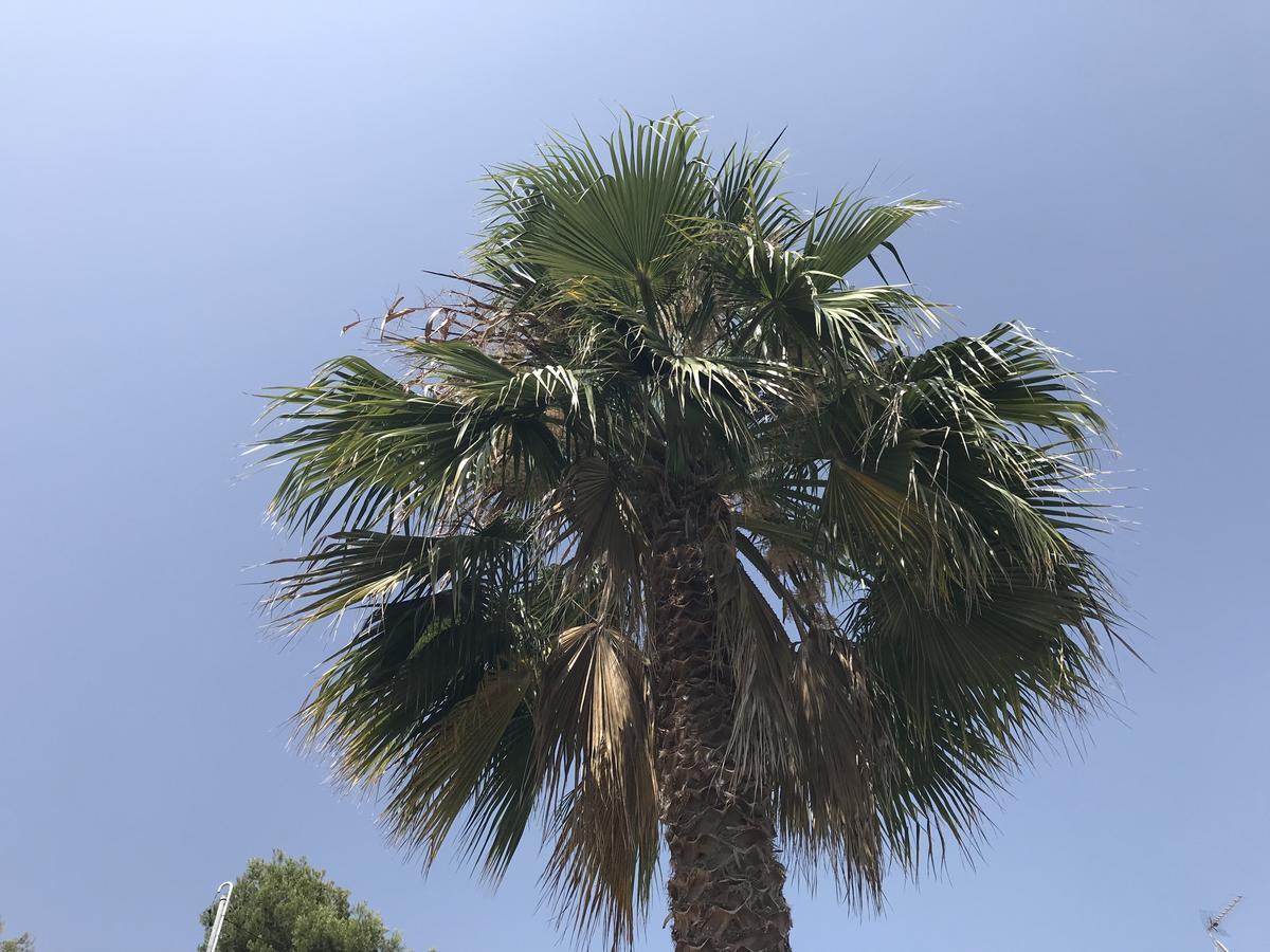 Casa Mallarenga Rooms Olivella Εξωτερικό φωτογραφία